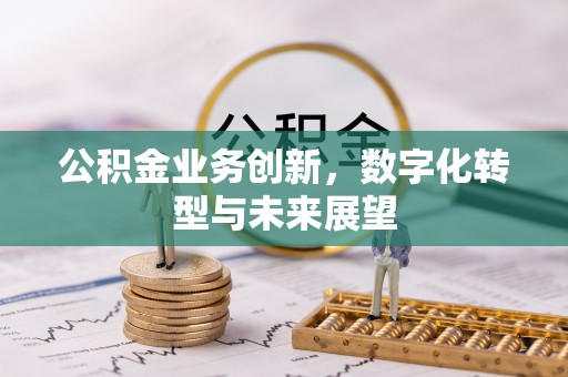金安公积金业务创新，数字化转型与未来展望