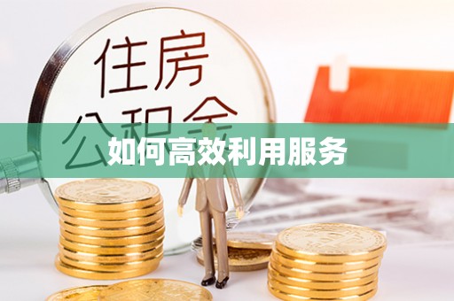 金安如何高效利用服务
