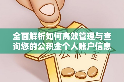 金安全面解析如何高效管理与查询您的公积金个人账户信息