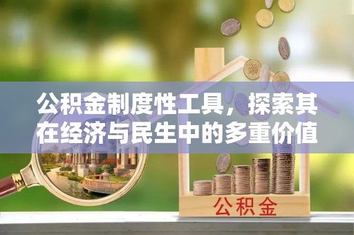 金安公积金制度性工具，探索其在经济与民生中的多重价值