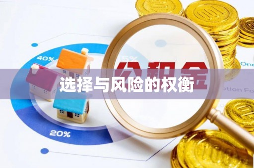 金安选择与风险的权衡
