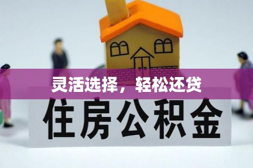 金安灵活选择，轻松还贷