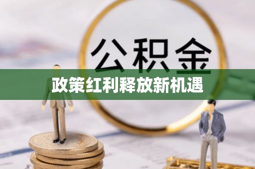 金安政策红利释放新机遇