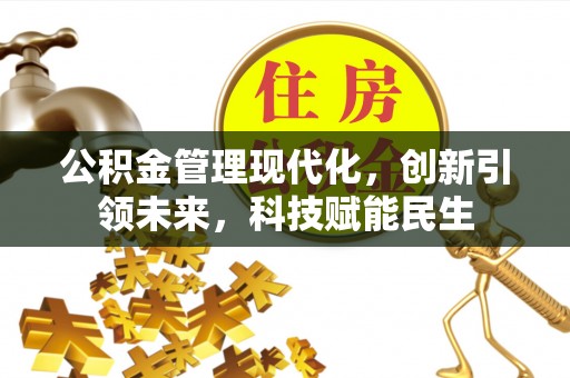 金安公积金管理现代化，创新引领未来，科技赋能民生