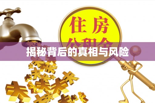 金安揭秘背后的真相与风险
