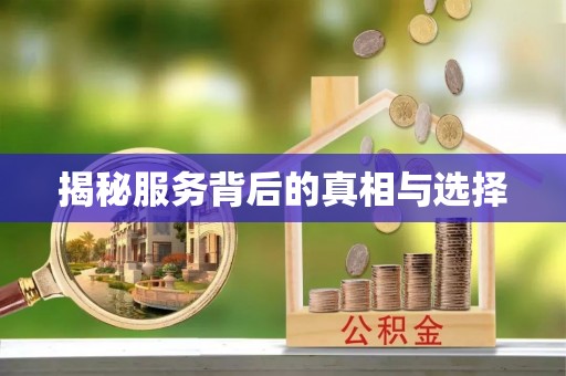 金安揭秘服务背后的真相与选择