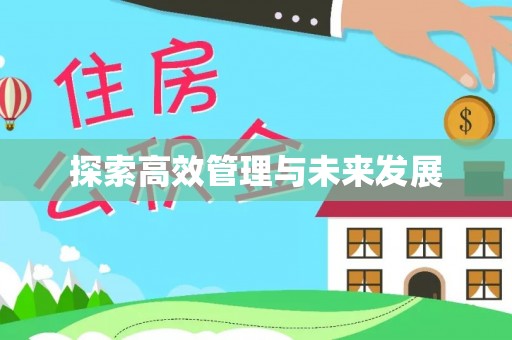 金安探索高效管理与未来发展