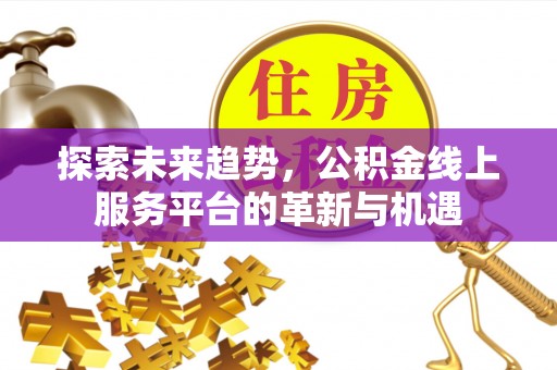 金安探索未来趋势，公积金线上服务平台的革新与机遇