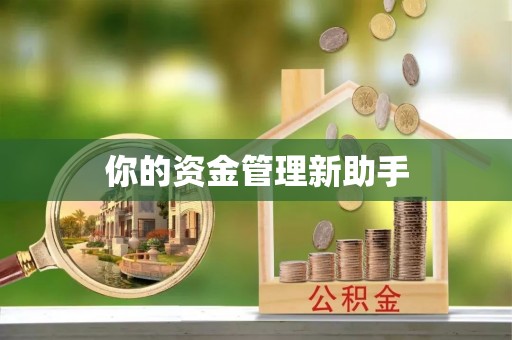 金安你的资金管理新助手