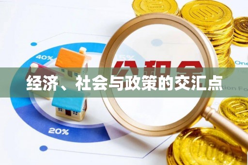 金安经济、社会与政策的交汇点