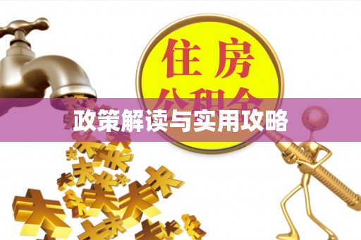 金安政策解读与实用攻略