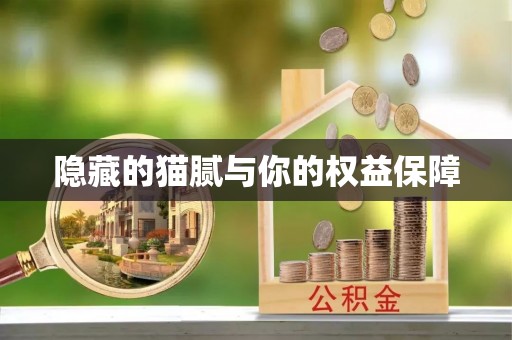 金安隐藏的猫腻与你的权益保障