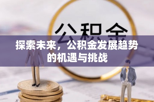 金安探索未来，公积金发展趋势的机遇与挑战