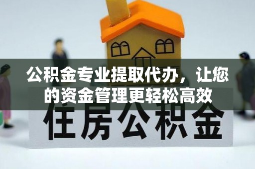 金安公积金专业提取代办，让您的资金管理更轻松高效