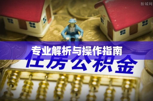 金安专业解析与操作指南