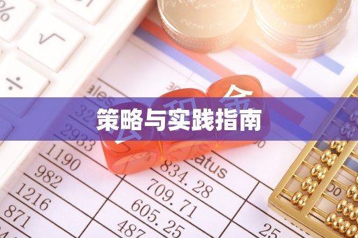 金安策略与实践指南