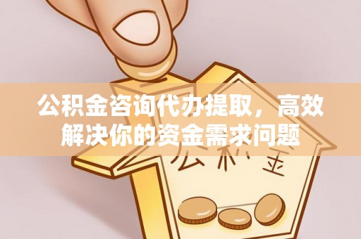 金安公积金咨询代办提取，高效解决你的资金需求问题