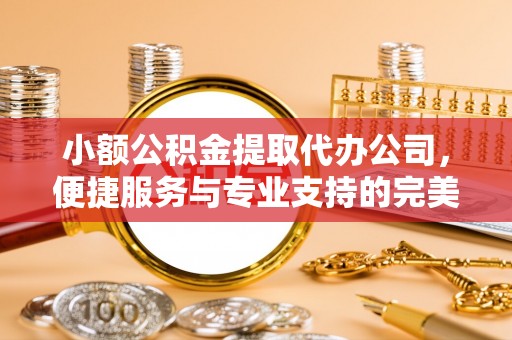 金安小额公积金提取代办公司，便捷服务与专业支持的完美结合