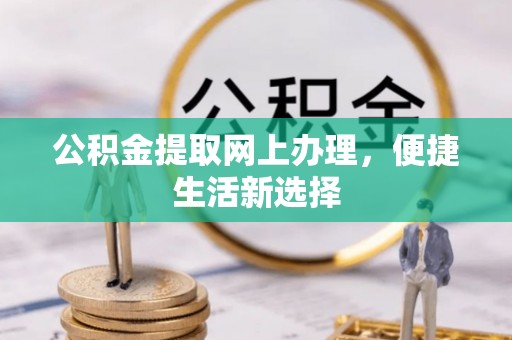 金安公积金提取网上办理，便捷生活新选择