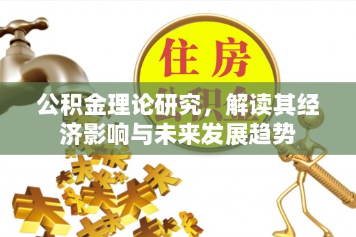 金安公积金理论研究，解读其经济影响与未来发展趋势