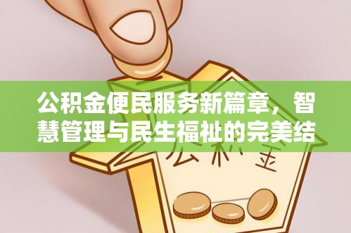 金安公积金便民服务新篇章，智慧管理与民生福祉的完美结合