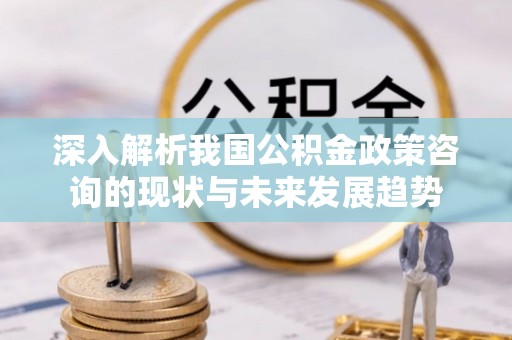 金安深入解析我国公积金政策咨询的现状与未来发展趋势