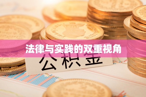 金安法律与实践的双重视角