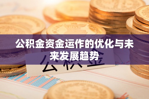 金安公积金资金运作的优化与未来发展趋势