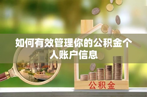 金安如何有效管理你的公积金个人账户信息