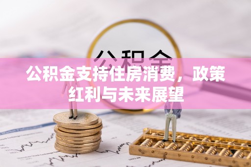 金安公积金支持住房消费，政策红利与未来展望