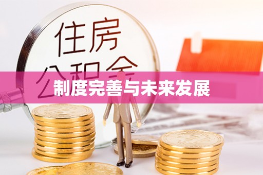 金安制度完善与未来发展