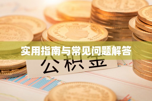 金安实用指南与常见问题解答