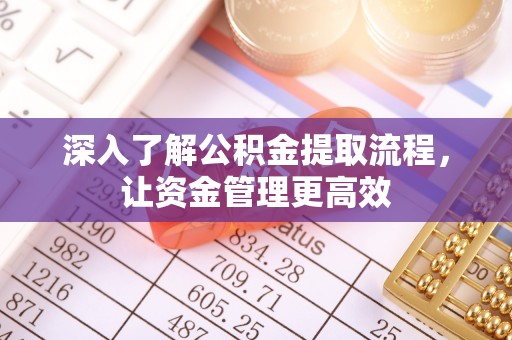 金安深入了解公积金提取流程，让资金管理更高效