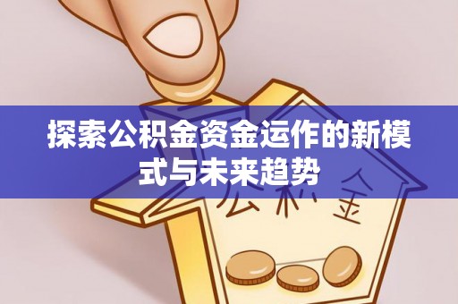 金安探索公积金资金运作的新模式与未来趋势
