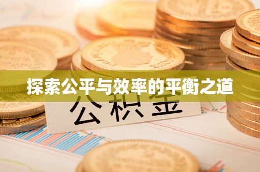金安探索公平与效率的平衡之道