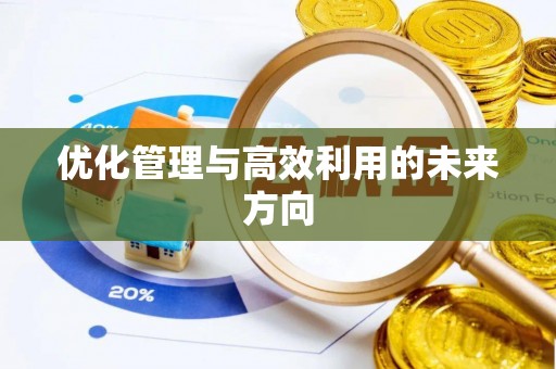 金安优化管理与高效利用的未来方向