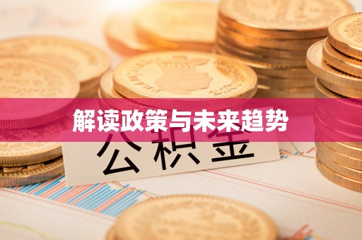 金安解读政策与未来趋势