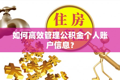 金安如何高效管理公积金个人账户信息？