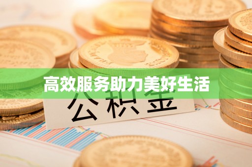 金安高效服务助力美好生活