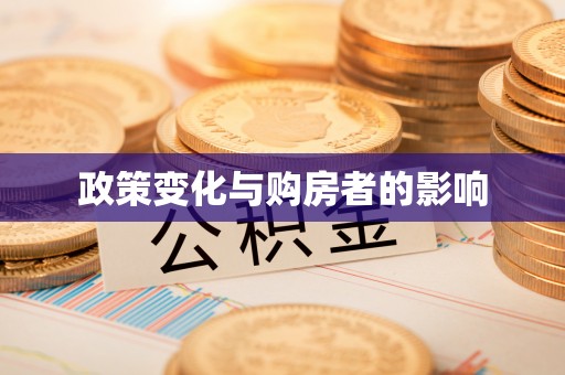 金安政策变化与购房者的影响