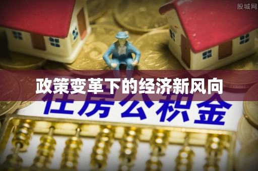 金安政策变革下的经济新风向