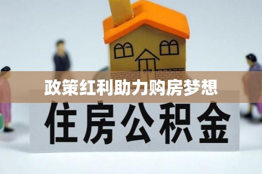 金安政策红利助力购房梦想