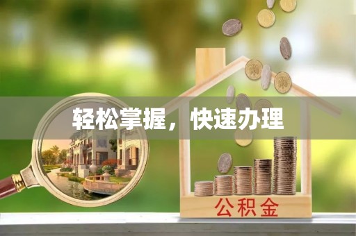 金安轻松掌握，快速办理