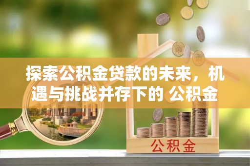 金安探索公积金贷款的未来，机遇与挑战并存下的 公积金贷款风险防控