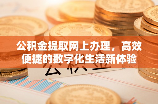 金安公积金提取网上办理，高效便捷的数字化生活新体验