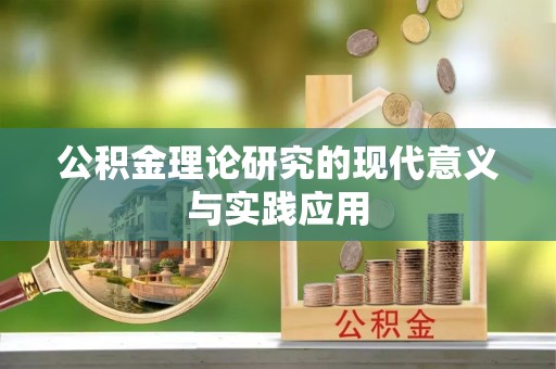 金安公积金理论研究的现代意义与实践应用