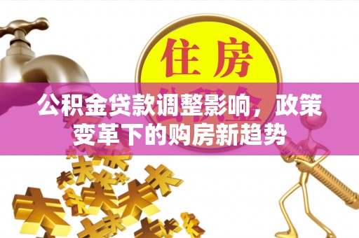 金安公积金贷款调整影响，政策变革下的购房新趋势