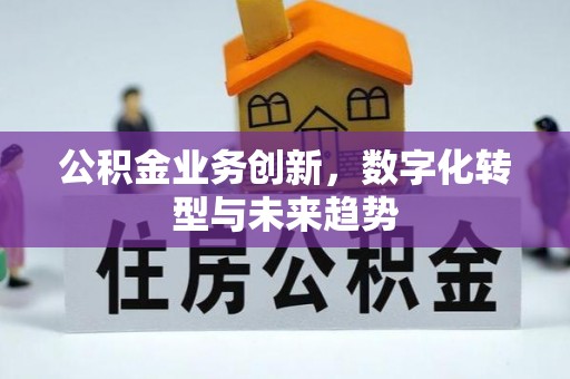 金安公积金业务创新，数字化转型与未来趋势