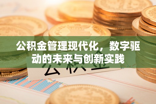 金安公积金管理现代化，数字驱动的未来与创新实践