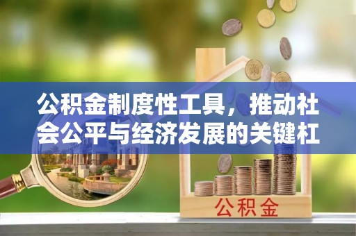 金安公积金制度性工具，推动社会公平与经济发展的关键杠杆